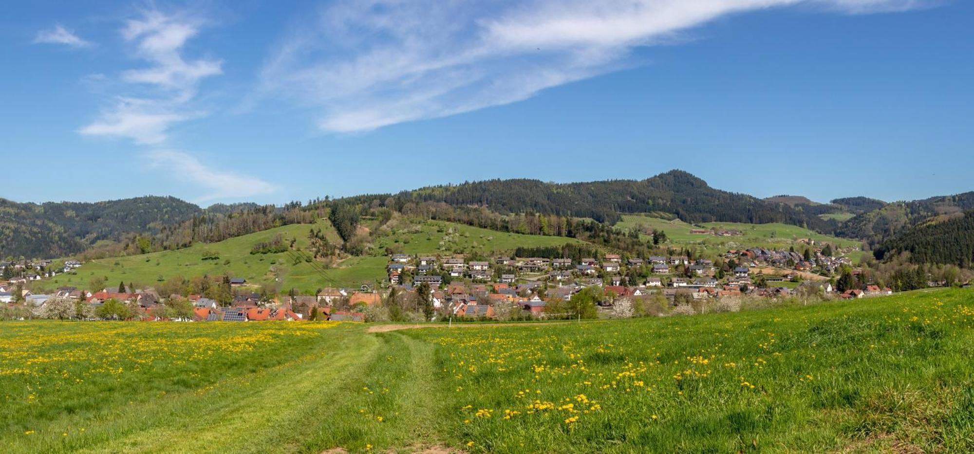 Haus Irmgard Appartement Zell am Harmersbach Buitenkant foto