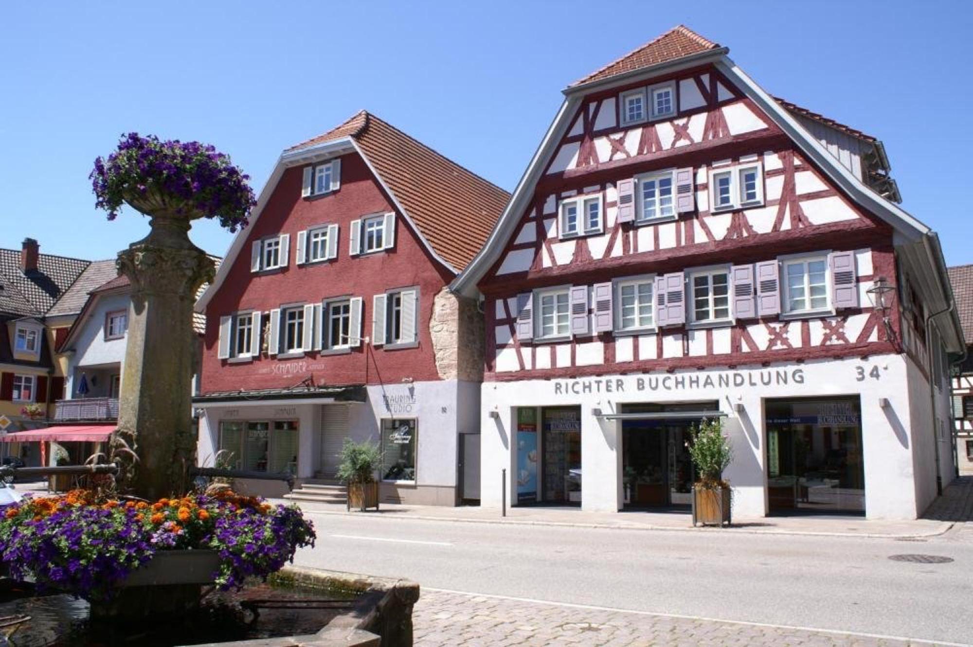 Haus Irmgard Appartement Zell am Harmersbach Buitenkant foto