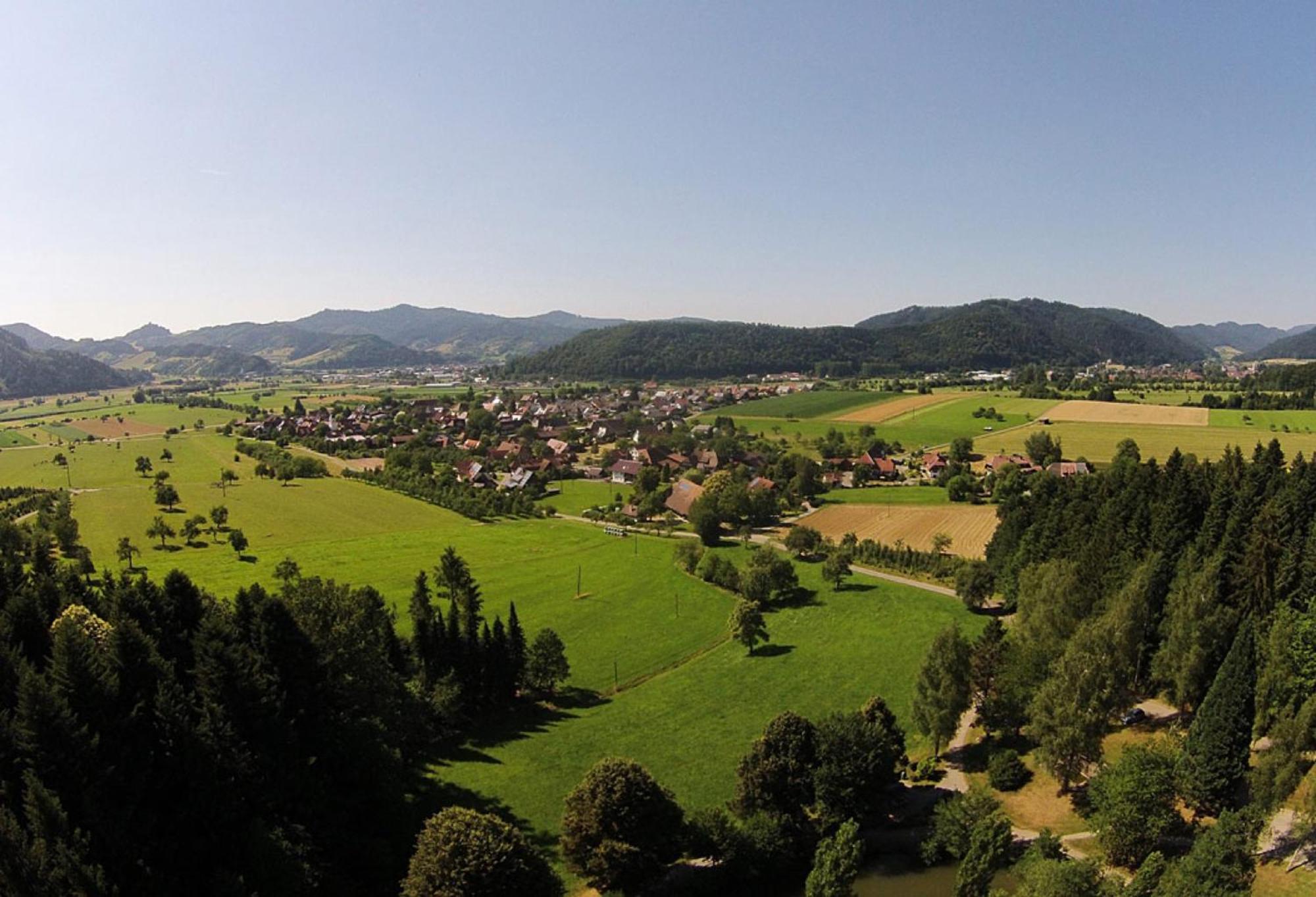 Haus Irmgard Appartement Zell am Harmersbach Buitenkant foto